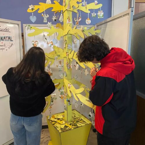 "Montagem da árvore pelos alunos"<br/>Mais uma vez os alunos com professores e auxiliares montaram a Árvore Amarela e envolveram todos os que por lá passaram na colocação dos enfeites.