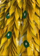 Pormenor dos símbolos FSC e Tetrapak colocados na Árvore Amarela.