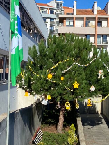 Árvore de Natal com estrutura natural na entrada da escola