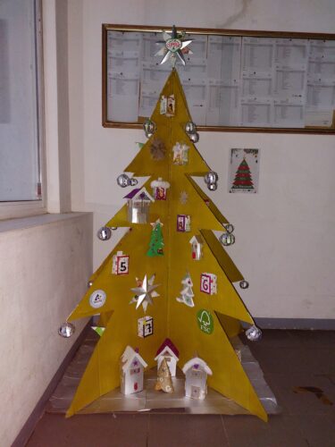A Árvore exposta no refeitório da escola.