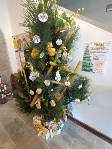 Árvore de Natal, colocada na área da receção da Escola.