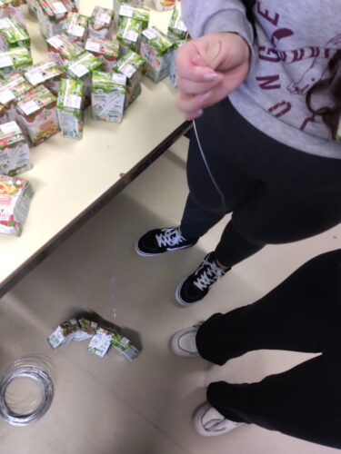 Os alunos limparam os pacotes tetrapak da Compal, furaram e fizeram fiadas de pacotes com recurso a arame.