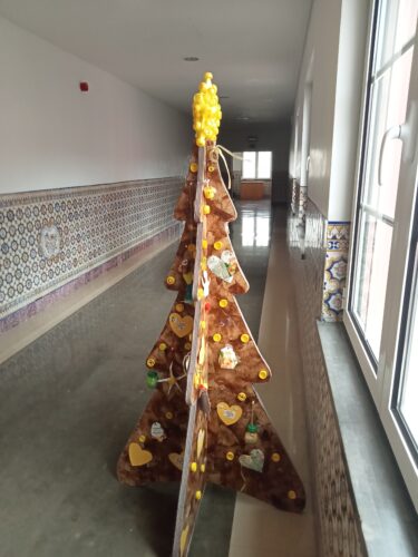 Árvore no corredor da Capela, para ser visitada por todos os nossos alunos.