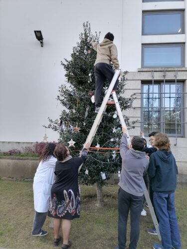 Montagem da Árvore de Natal