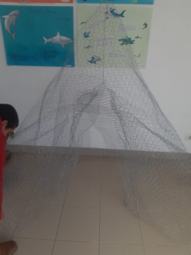 Inicio da construção da árvore