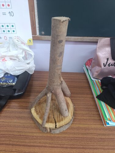 Montagem da estrutura da árvore com a ajuda dos alunos: reutilização de cartões e madeiras antigas.