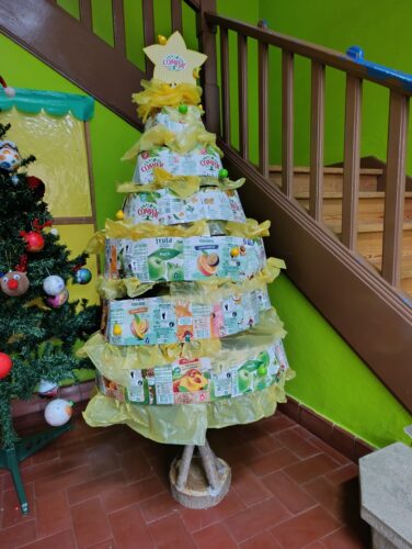 Árvore na entrada do edifício escolar EB de Maceira - Torres Vedras.