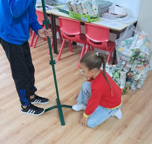 Recorrendo a uma base de ferro com varetas distribuídas ao longo de uma vara central, procedeu-se à limpeza do ferro e pintura com tinta verde-escura de todas as peças. Após a secagem os alunos montaram as varetas que iriam servir de suporte dos ramos Tet