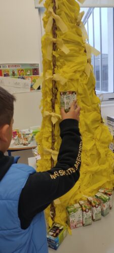 Planeamento da estrutura da árvore; definição do formato da base da árvore , antes do início da montagem.