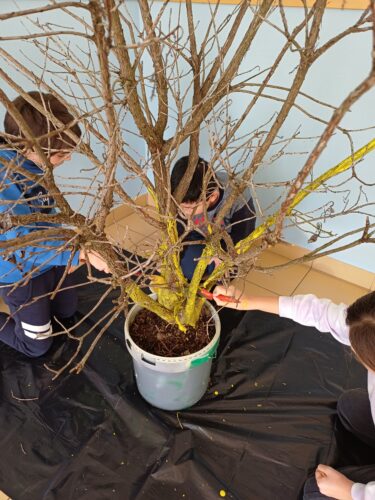 Planeamento e início da construção da Árvore de Natal, reutilizando uma árvore da escola que tinha secado.