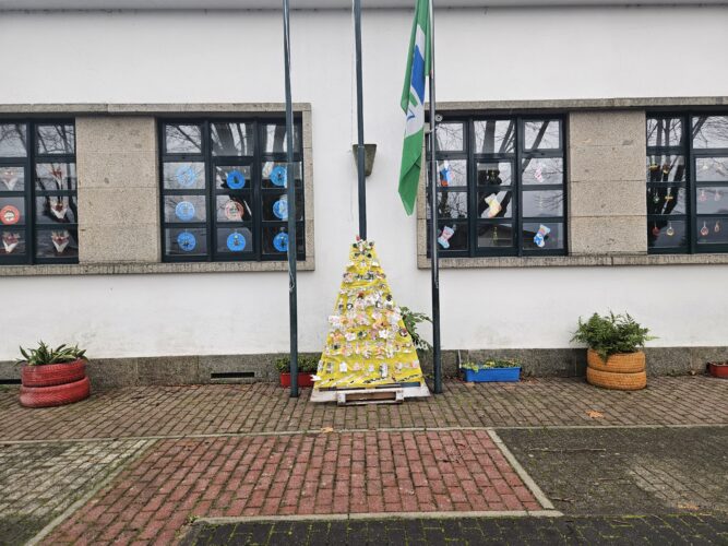 Árvore no exterior em frente da entrada da escola.