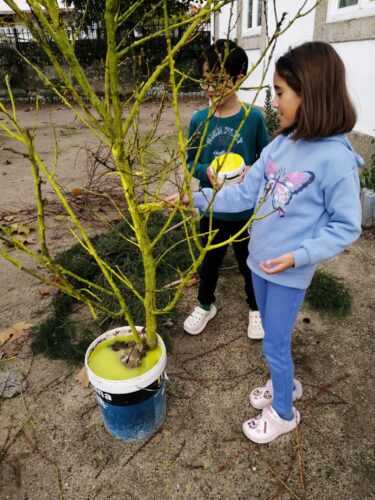 Pintura da árvore com a cor amarela.