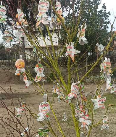 Decorações da Compal colocadas nos galhos das árvores.