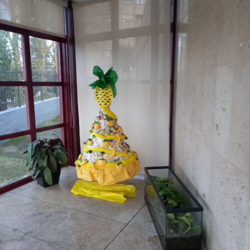 A árvore mantém-se exposta no hall de entrada do estabelecimento de educação e ensino.
