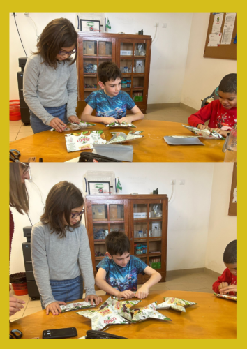 Estrelas de 8 Pontas com Embalagens da Compal