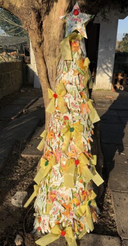 Trabalho final no recinto da escola.