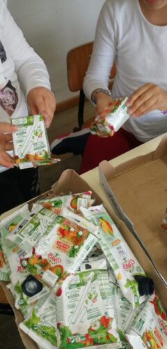 Materiais utilizados na Árvore de Natal (embalagens TetraPack e da Compal).