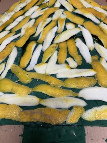 Colagem das cascas de limão na esponja verde após cortadas