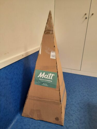 "A árvore a tomar forma"