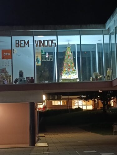 Árvore de Natal no espaço da Escola ao fim do dia.
