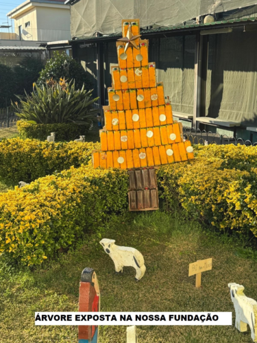 Árvore exposta na nossa instituição (pertinho do nosso presépio) .