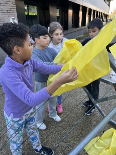 Processo de Construção