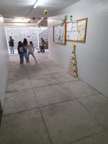 A Árvore Amarela está colocada junto ao painel Eco escolas, sítio onde os alunos circulam várias vezes ao dia e onde a podem apreciar.