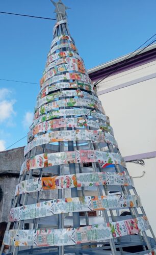Árvore no recinto escolar.