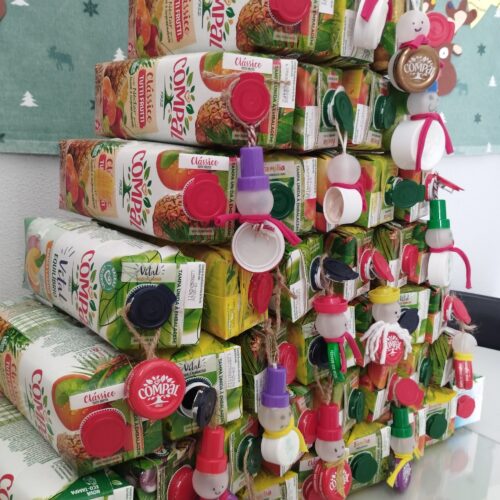 Pormenores da Árvore no átrio da escola.