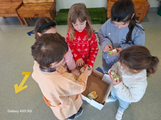 WhatsApp Image 2026-01-15 at 16.21.37.jpeg