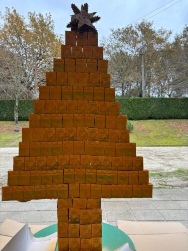 Colocação da árvore no espaço da escola.