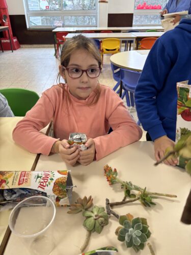 Os alunos preencheram as aberturas das embalagens com plantas.