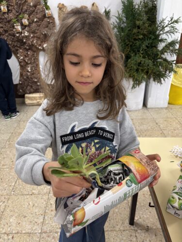 As embalagens a serem usadas.