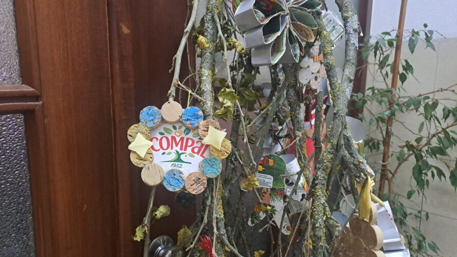 A Compal a marcar a sua presença na árvore