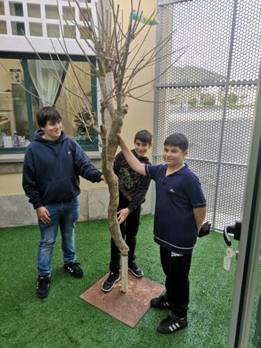 Instalação da "Árvore Compal - Natal Amarelo"