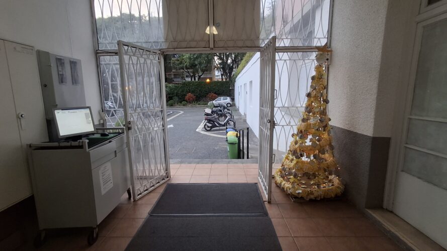 Foto 6 – O Pinheiro Ecológico colocado na entrada principal dos alunos