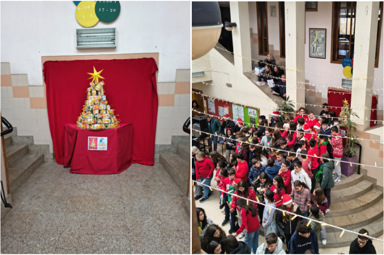 A Árvore foi colocada no patamar da escadaria principal do edifício onde serviu como pano de fundo da Festa de Natal.