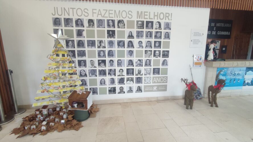 Árvore de Natal, incluindo aldeia/presépio na receção da Escola.