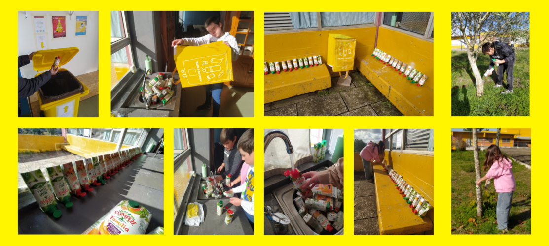 1ª Etapa – recolha, lavagem e secagem das embalagens + rega das árvores da escola