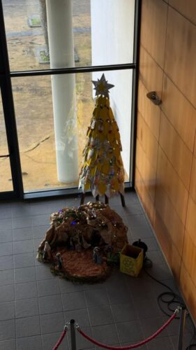 A Árvore Amarela da Escola