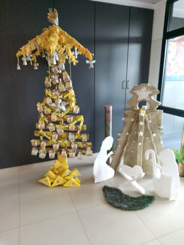 Colocação/ Exposição da árvore selecionada no pavilhão de entrada da escola.