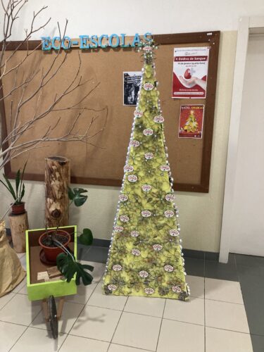 Foto 5 – Finalizámos com a colocação de uma estrela no topo da árvore, com os símbolos da Tetra Pak e da Compal.