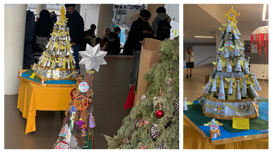 Árvore em exposição no espaço escolar.