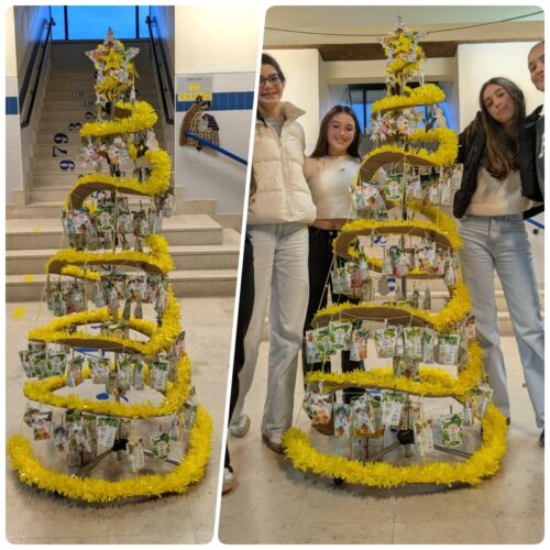 Árvore de Natal Amarela na Escola<br/>A árvore foi colocada num dos átrios da escola (do bloco C), junto de uma entrada do bloco, local de passagem de grande número de alunos. As alunas (do 9.º ano) servem de escala.