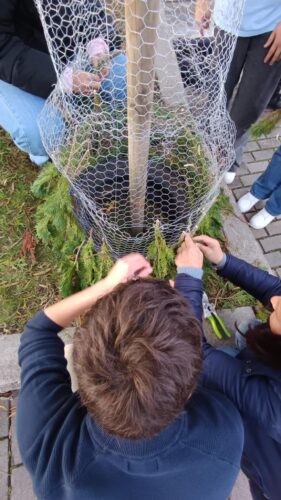 Folha verde por folha verde, a árvore ganha vida e forma.