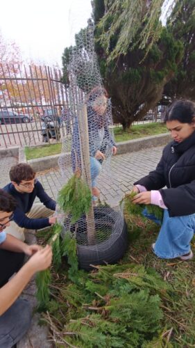 É hora de despertar a magia do Natal.