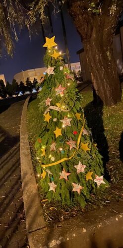 Que esta árvore inspire toda a comunidade educativa para um Natal cheio de amor e união.