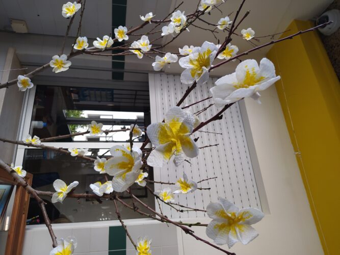 Fase de colocação dos enfeites construídos.