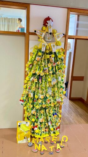 Árvore exposta na escola.