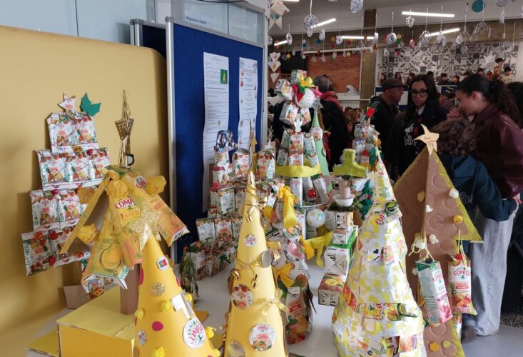 Árvore no Espaço Escolar (Polivalente-Festa de Natal)